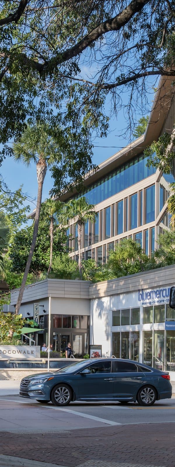 Shops and tree-lined streets at CocoWalk in Coconut Grove