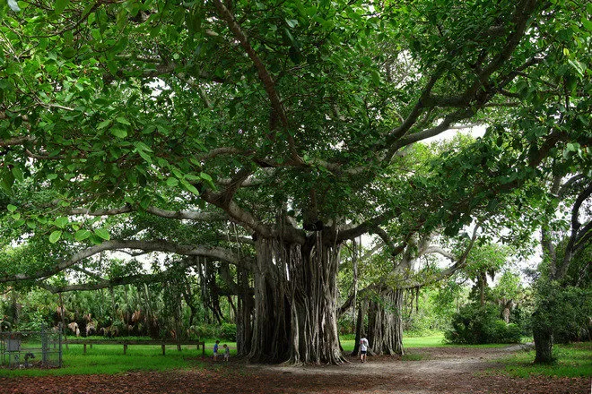 Hugh Taylor Birch State Park