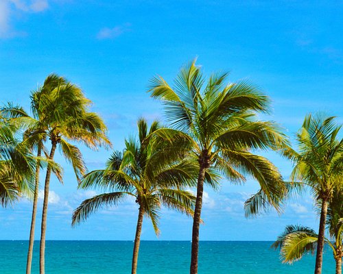 Fort Lauderdale Beach